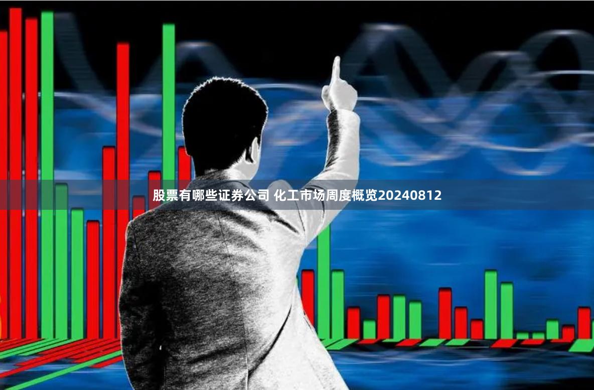 股票有哪些证券公司 化工市场周度概览20240812