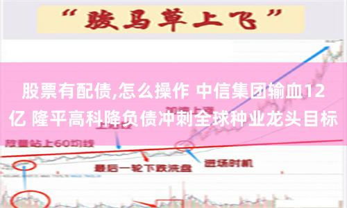 股票有配债,怎么操作 中信集团输血12亿 隆平高科降负债冲刺全球种业龙头目标