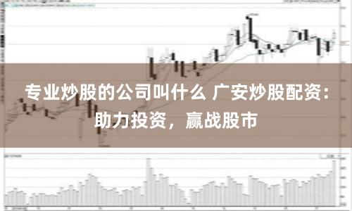 专业炒股的公司叫什么 广安炒股配资：助力投资，赢战股市
